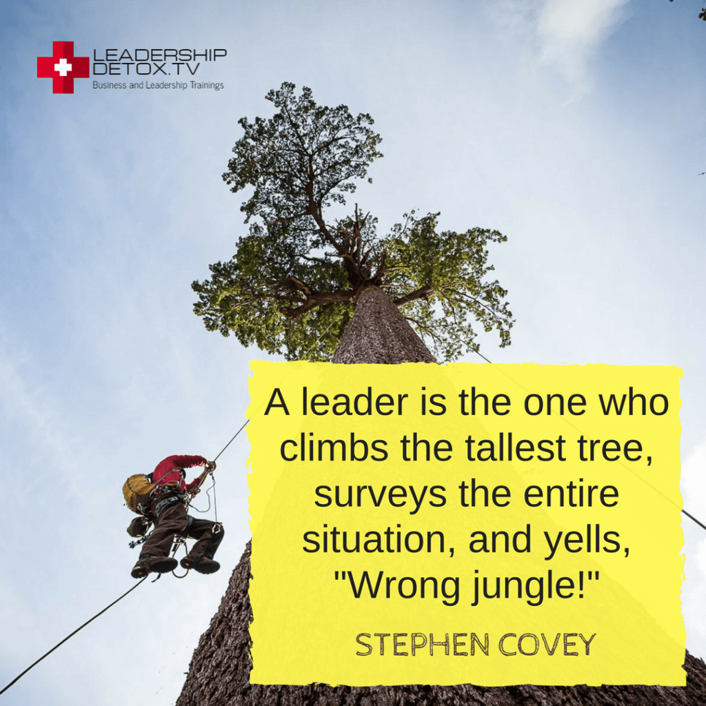 Stephen Covey quote on priority: A leader is the one who climbs the tallest tree, surveys the entire situation, and yells, "Wrong jungle!"